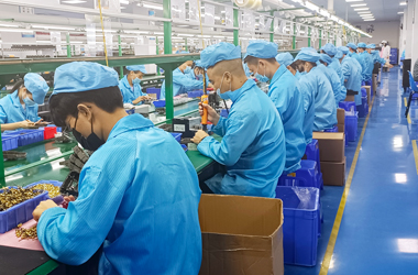 組裝加工一站式生產(chǎn)